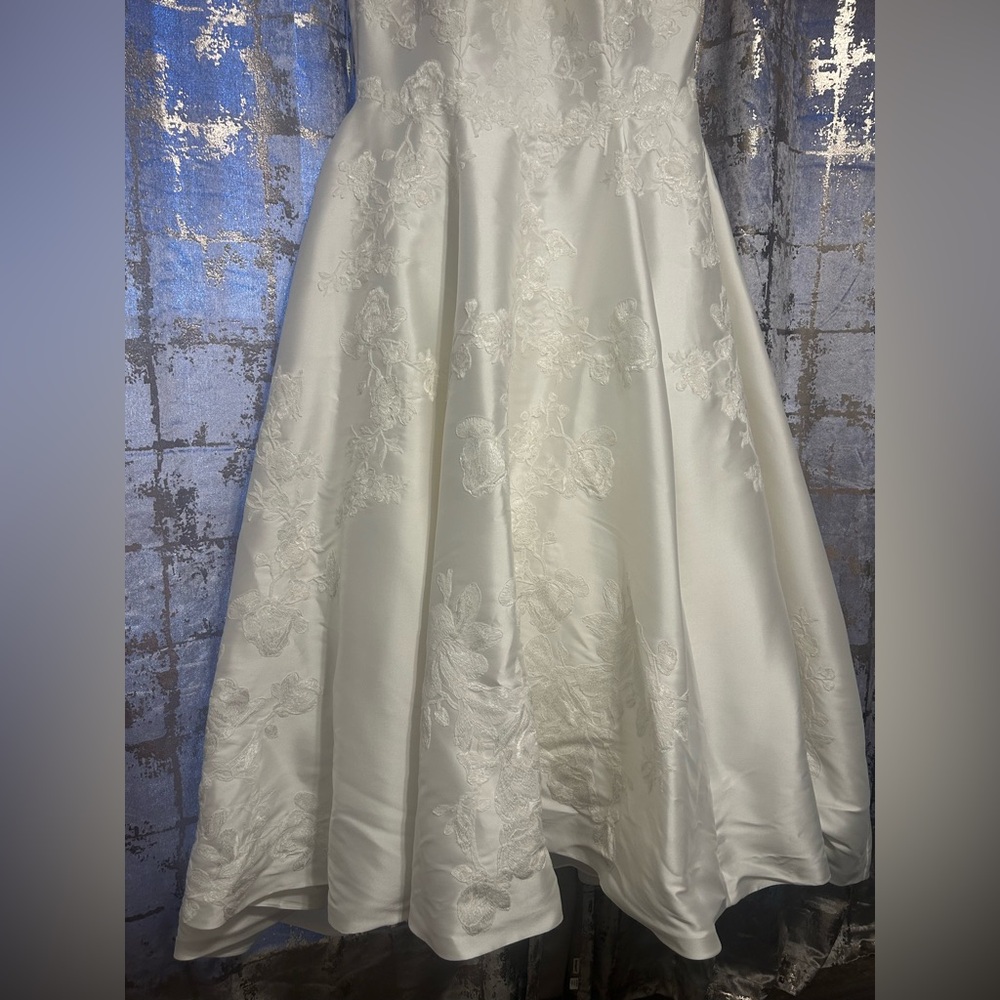 New Plus-Size Wedding Dress - Picture 5 of 9